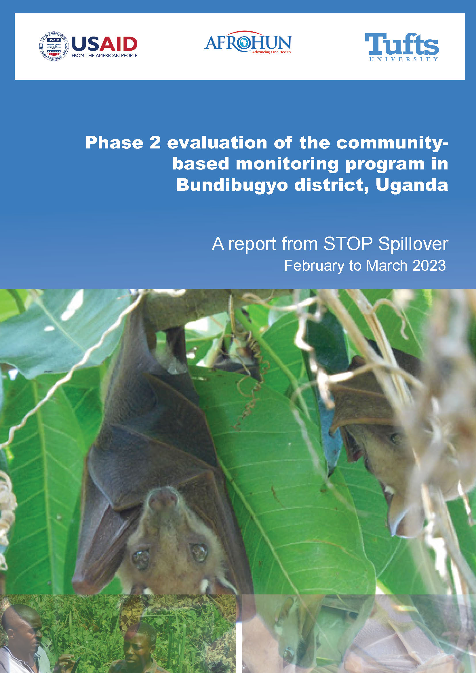 Thumbnail of report cover, with a photo of a bat hanging from a tree.