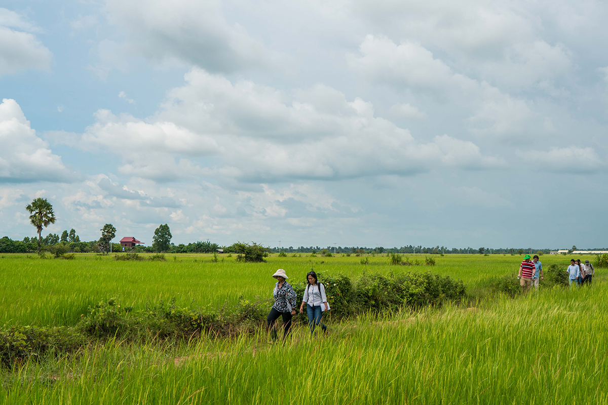 Photo of people walking through a field