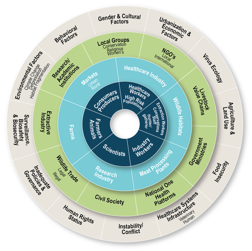 Spillover Ecosystem Map