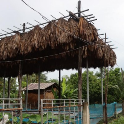 Bat roost made of straw, near a small dirt path.