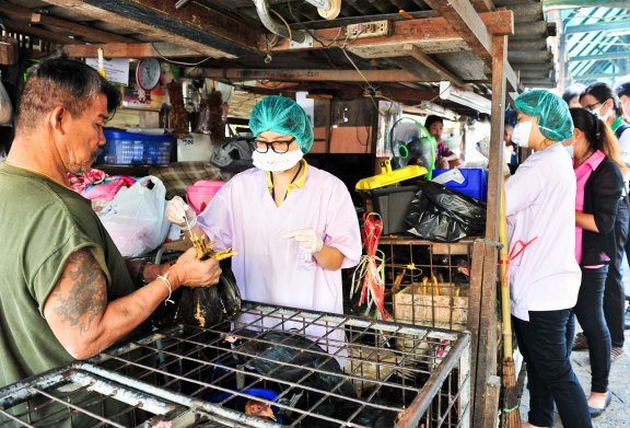 Photo of Avian Influenza Surveillance at Bangkok's Klongtoey Market