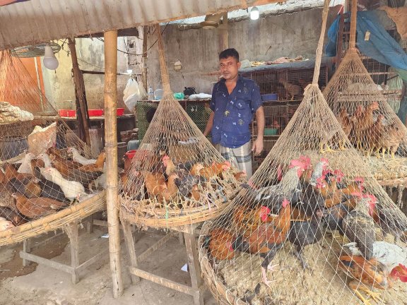 Photo of a live bird market in Bangladesh. Source: Daniel Otzoy-Garcia, JSI