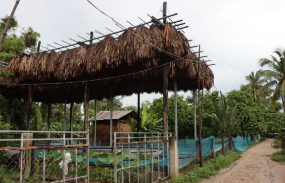 Bat roost made of straw, near a small dirt path and a small garden.